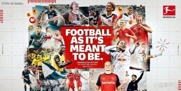 勒沃库森签下布拉斯维奇,德甲内部流转老门将