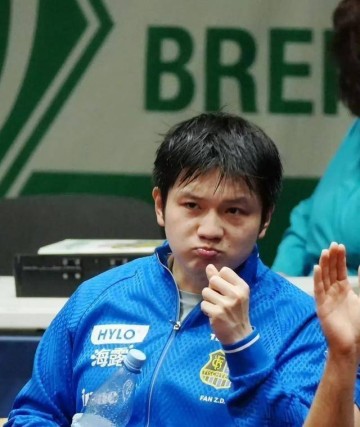 东方力量席卷德甲,樊振东的欧洲乒乓革命